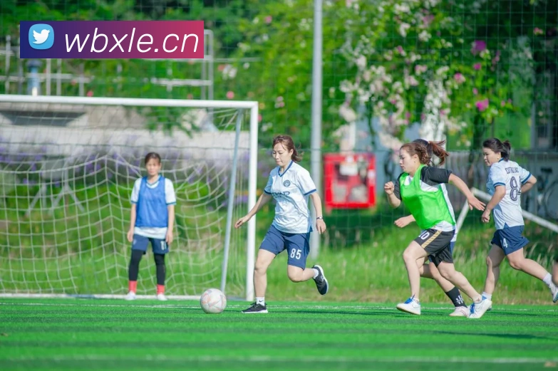 乐鱼官方最新网站品牌故事