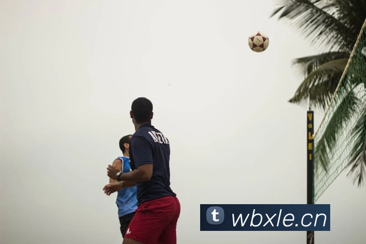 乐鱼官方最新网站服务体系